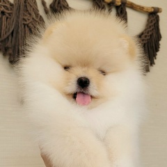 Елизавета Базанова, 05.01, Тюмень