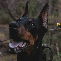 Натали Омарова, 21.05