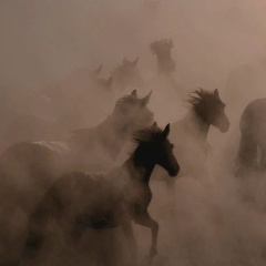 Рамазан Малиев, 18.09, Дербент