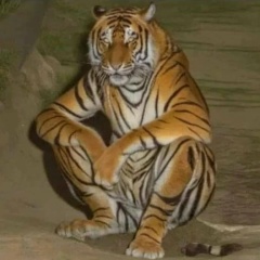 Виктор Мишин, 04.01