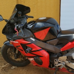 Боб Губка, 05.01.1989