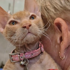 Елена Васильева, 15.05, Санкт-Петербург