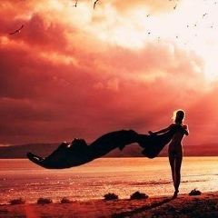 Миледи Миледи, 04.01.1985