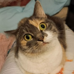 Вадим Скутин, 29.07.1974, Екатеринбург