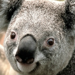 Таня Живогляд, 11.06.1976, Киев