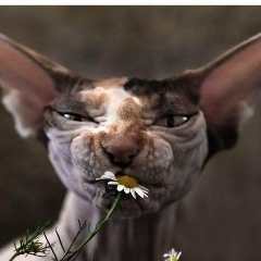 Татьяна Архипова, 15.09.1968, Кыштым