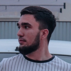 Милан Мирзоев, 06.07, Hannover