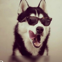 Арби Альбукаев, 08.12.1999, Грозный