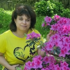 Наталья Гринькова, Калач