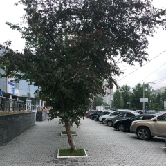 Jenya Yun, 08.06, Екатеринбург