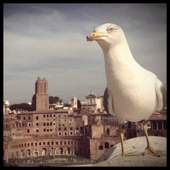 Лена Ладина, 16.01, Санкт-Петербург