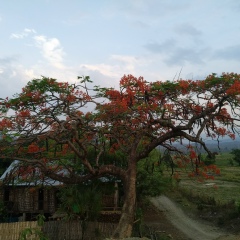 Thet Htoo Zaw, 08.01.1988