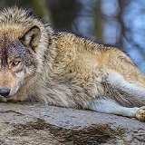 Karen Sevoyan, 29.06, Троицк