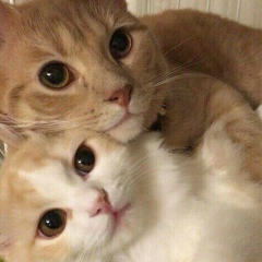 Алибек Уваров, 09.06.1992, Алматы