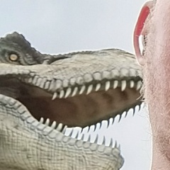 Дмитрий М., Нижний Новгород