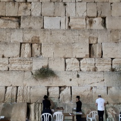 Александр Иванов, Sydney