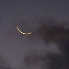 Наргиля Шамилова, Астрахань