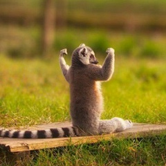 Сергей Зюзин, Тверь