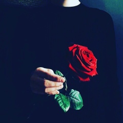 Руслан Шарипов, Новосибирск