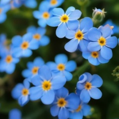 Ирина Королева, 03.01.1986, Москва