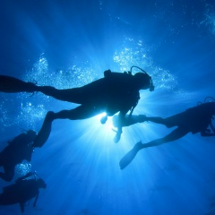 Алексей Кротов, 15.10, Санкт-Петербург