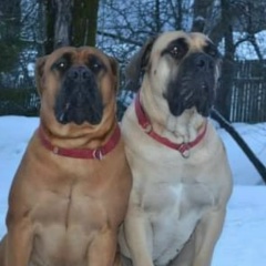 Вера Большакова, 23.10, Волхов