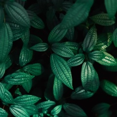 Макс Русланов, 04.01, Актау