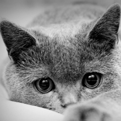 Валентина Васянович, 25.07.1986, Коростень