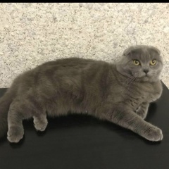 Мадина Бзыкова, 02.02, Владикавказ