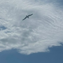 Мария Андреева, Санкт-Петербург