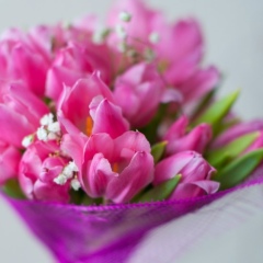 Ольга Миронюк, 28.06, Хмельницкий