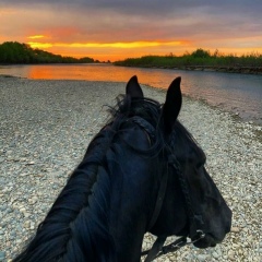 Амир Амиров, 21.08.1996, Терек