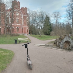 Роман Трофимов, Санкт-Петербург