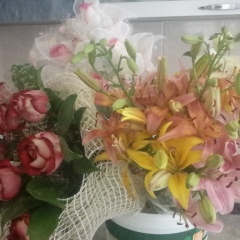 Надежда Ефремова, 01.07.1988, Москва