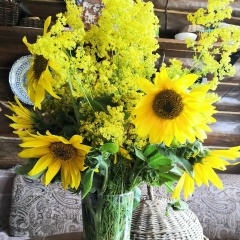 Вера Киреева, 26.07.1980, Новосибирск