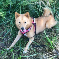 Света Редькина, 03.11.1983, Мончегорск