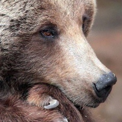 Сакен Тасжанов, 05.02.1991