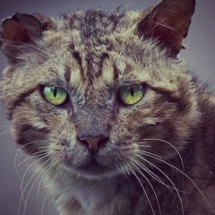 Гайдар Нуров, 26.04.1988, Махачкала