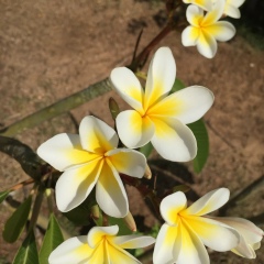 Алена Волынец, 01.01.2000, Москва