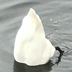 Дмитрий Агапов, 05.11, Набережные Челны