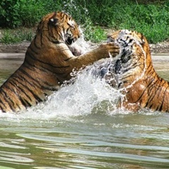 Артур Хорт, 22.02.1989, Санкт-Петербург