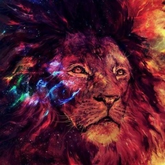 Жасур Хуснитдинов, 14.01, Чирчик