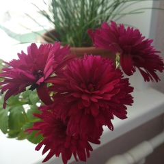 Марина Евдокимова-Чикурова, 08.11, Темиртау