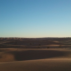 Majid Khalfoun, 27.08, Dubai