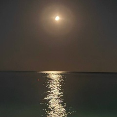 Aleksandra Lex, Санкт-Петербург