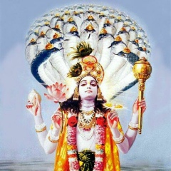 Василь-Прозоров Переверзэв, 05.01.1981, Кривой Рог