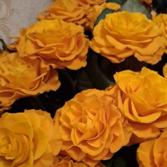 Тэя Неёлова, 21.12, Санкт-Петербург