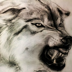 Руслан Магомедов, 28.04