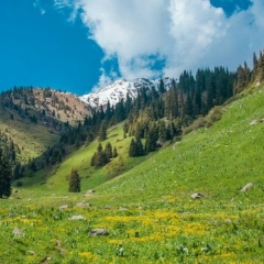 Olzhas Kozybay, Алматы