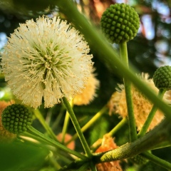 Айгуль Нияскулова, 16.08.1986, Казань